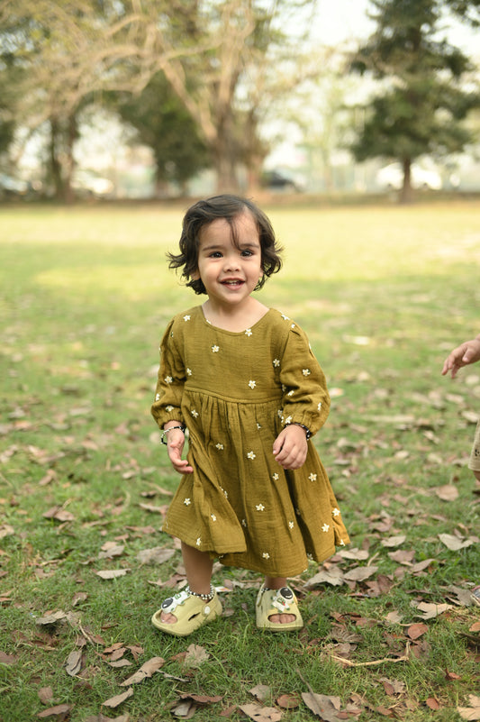Koala Olive Green Fit and Flare Embroidery Dress