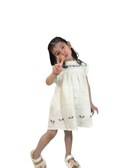 Koala Girls Hand Embroidered  A- Line Dress